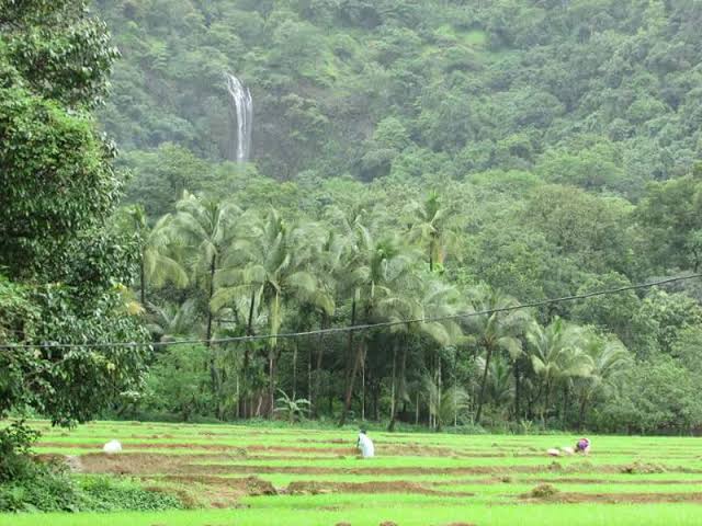 best waterfalls in goa